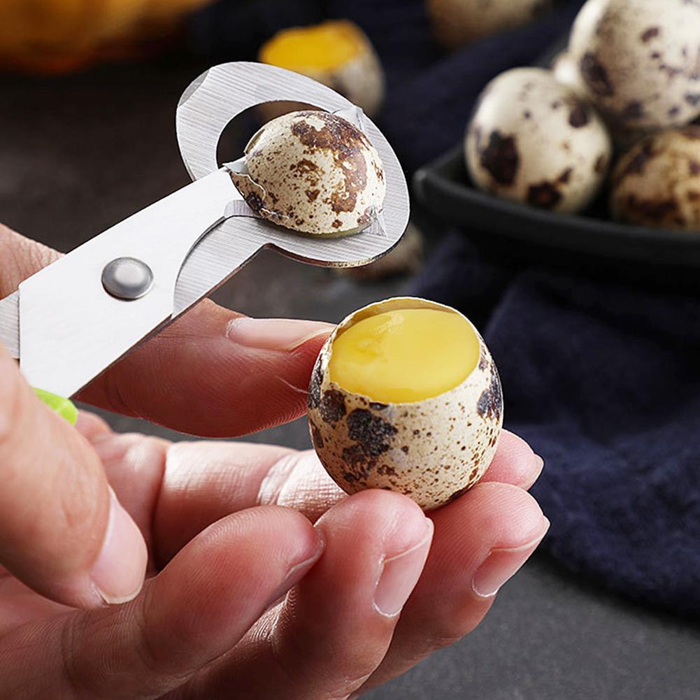비둘기 메추라기 작은 계란 껍질 가위 커터 새알 껍질  - Egg Separator Tool 리뷰 및 가격
