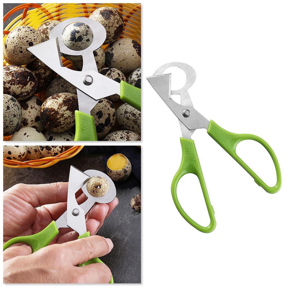 비둘기 메추라기 작은 계란 껍질 가위 커터 새알 껍질  - Egg Separator Tool 리뷰 및 가격